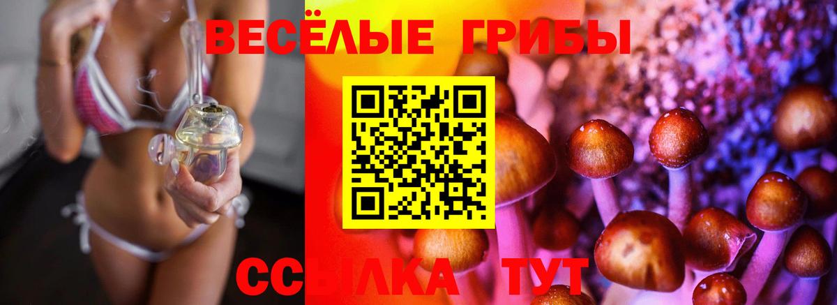 Галлюциногенные грибы Magic Shrooms Ярцево